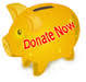 Donate Now Piggy Bank icon
