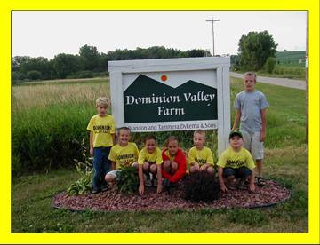 Dominion Valley Farm t-ball team 2006