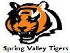 Spring Valley High School mascot image