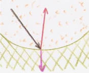 http://pbg2user01.doteasy.com/9/5/8/78/images/folder_79153/img826455c521dbbb37f.jpg